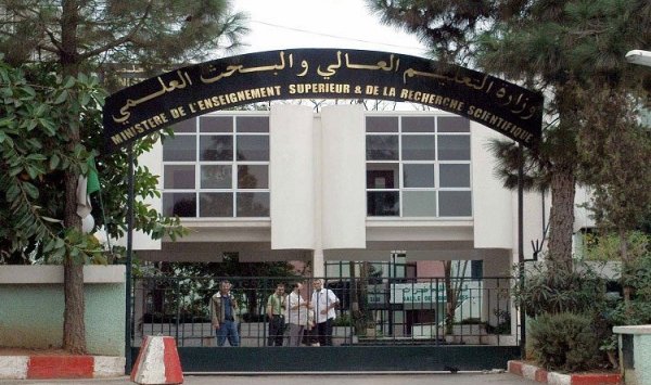 وزارة التعليم العالي تدرس إمكانية إجراء الإمتحانات بصفة حضورية إبتداءً من سبتمبر