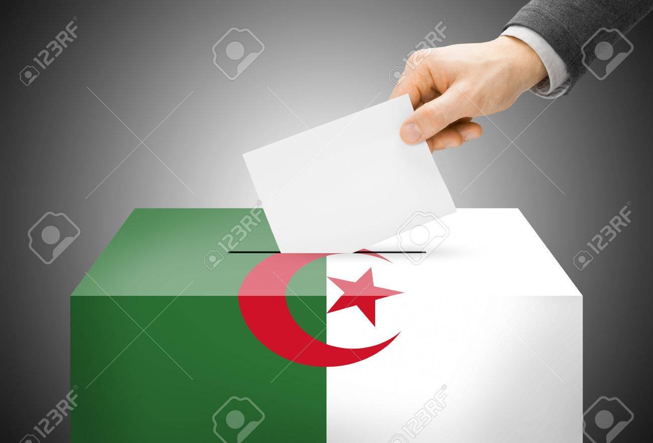 إستفتاء الدستور.. هذا موعد الإقتراع للجالية الجزائرية بأنقرة