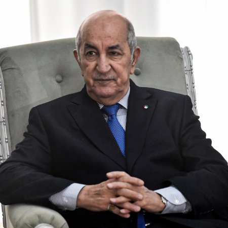 الرئيس تبون يدعو الكفاءات الشابة بالمهجر إلى الاستثمار في الجزائر