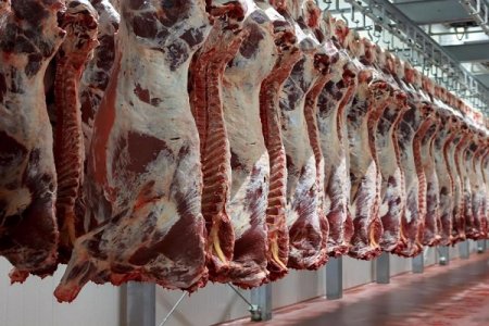 استيراد 2500 طن من اللحوم الاسبانية المبردة لشهر رمضان