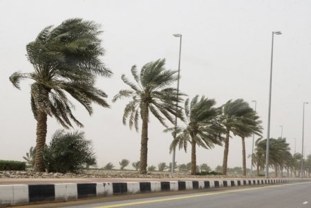 رياح قوية تتعدى سرعتها 50 كلم سا الولايات الجنوبية