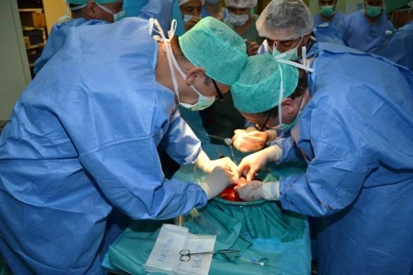 نسبة نجاح عمليات زرع الكلى في الجزائر فاقت 98بالمائة.