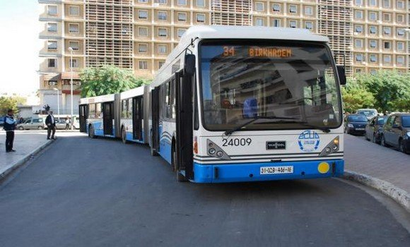 إيتوزا تعلن عن فتح 4 خطوط جديدة تربط وتكمل الحافلة بالقطار