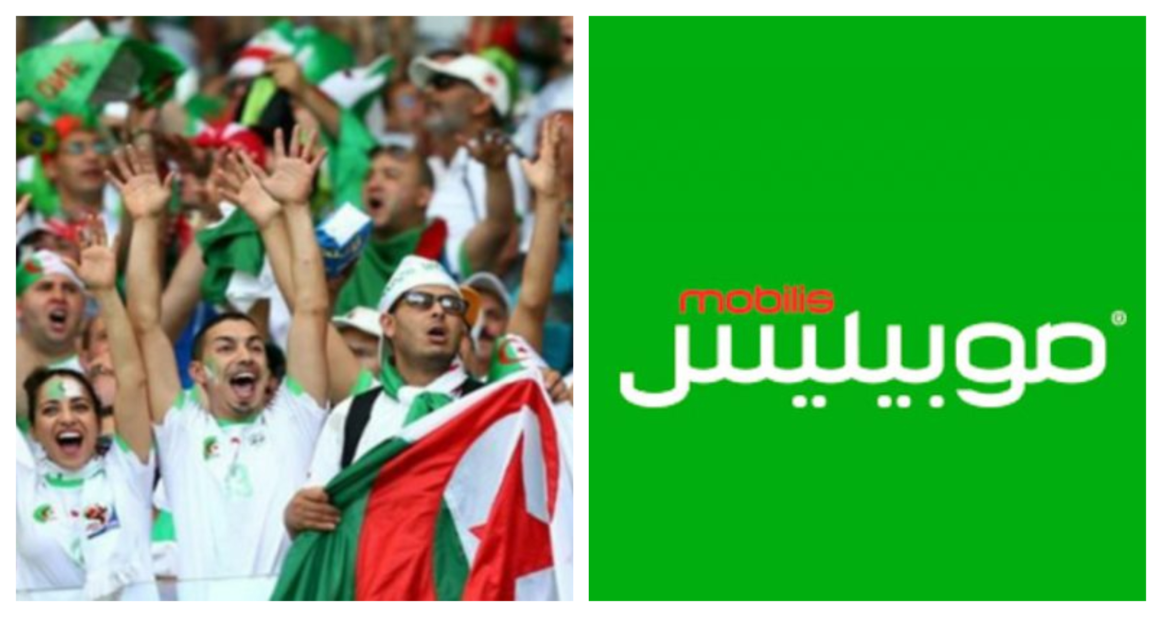 «موبيليس» تتكفل بنقل 661 مناصرا إلى «كان الكاميرون»