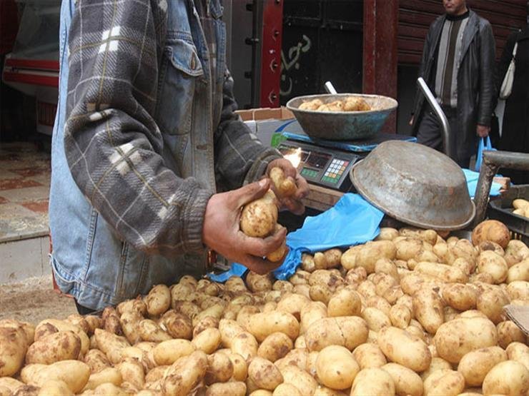 مسؤول بالاتحاد العام للتجار الحرفيين يوضح أسباب زيادة سعر البطاطا