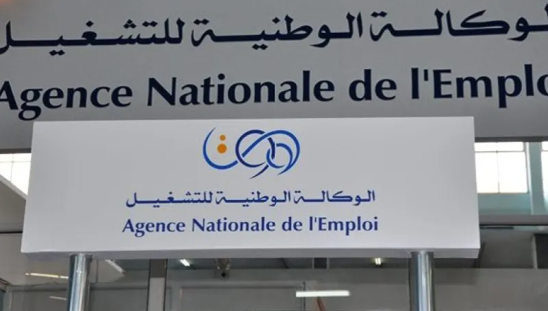 الوكالة الوطنية للتشغيل تطلق منصة رقمية جديدة تخص منحة البطالة