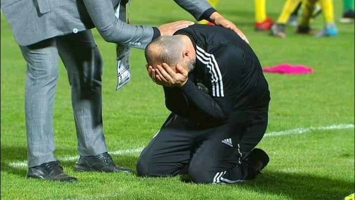 " إرفع رأسك يا كوتش" ... تضامن واسع مع بلماضي بعد الإقصاء من بلوغ المونديال