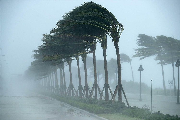 أمطار رعدية ورياح قوة على هذه الولايات