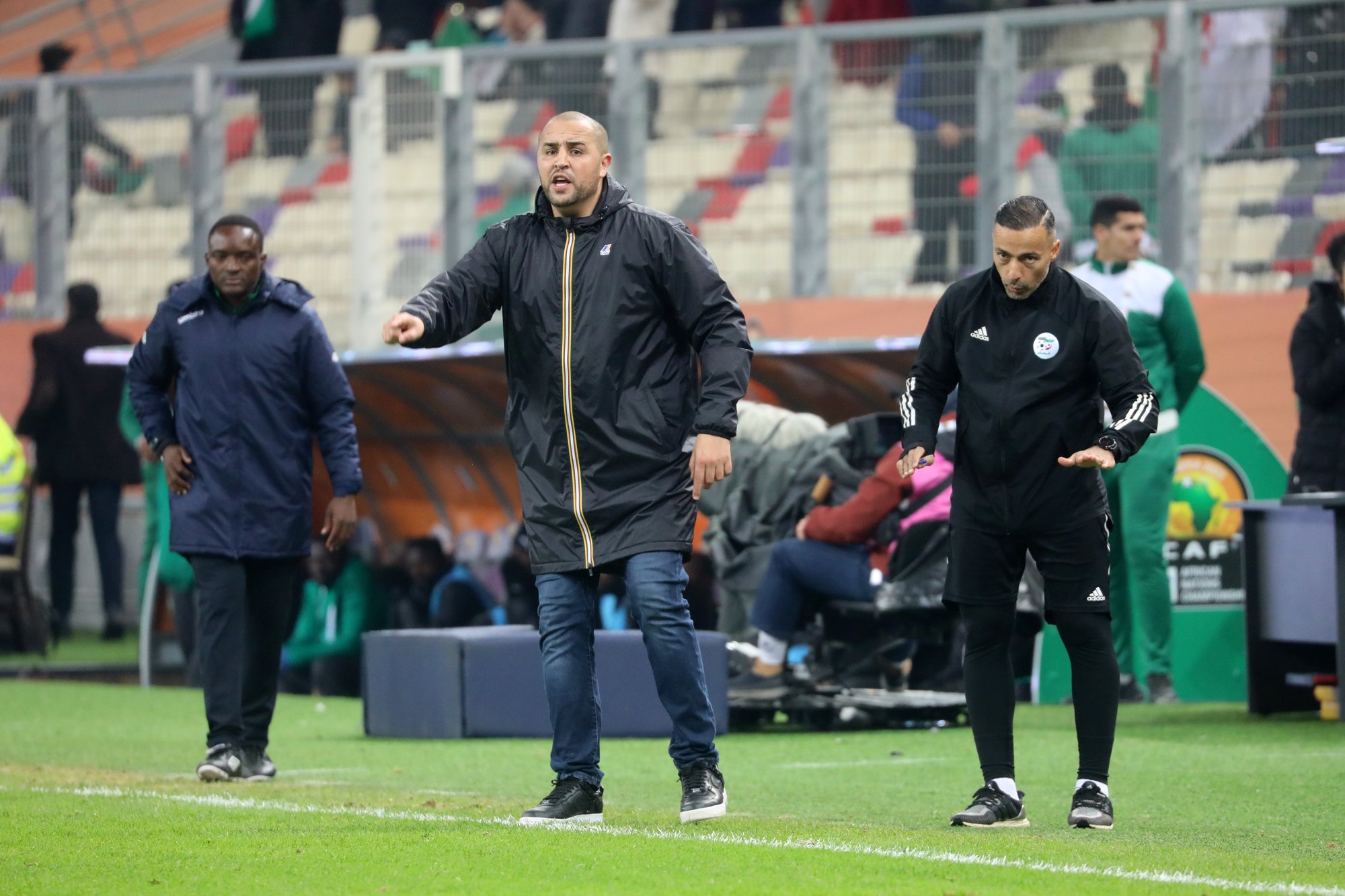 الإستمرار مع المنتخب !؟ هكذا علق مجيد بوقرة بخصوص مصيره مع المحليين