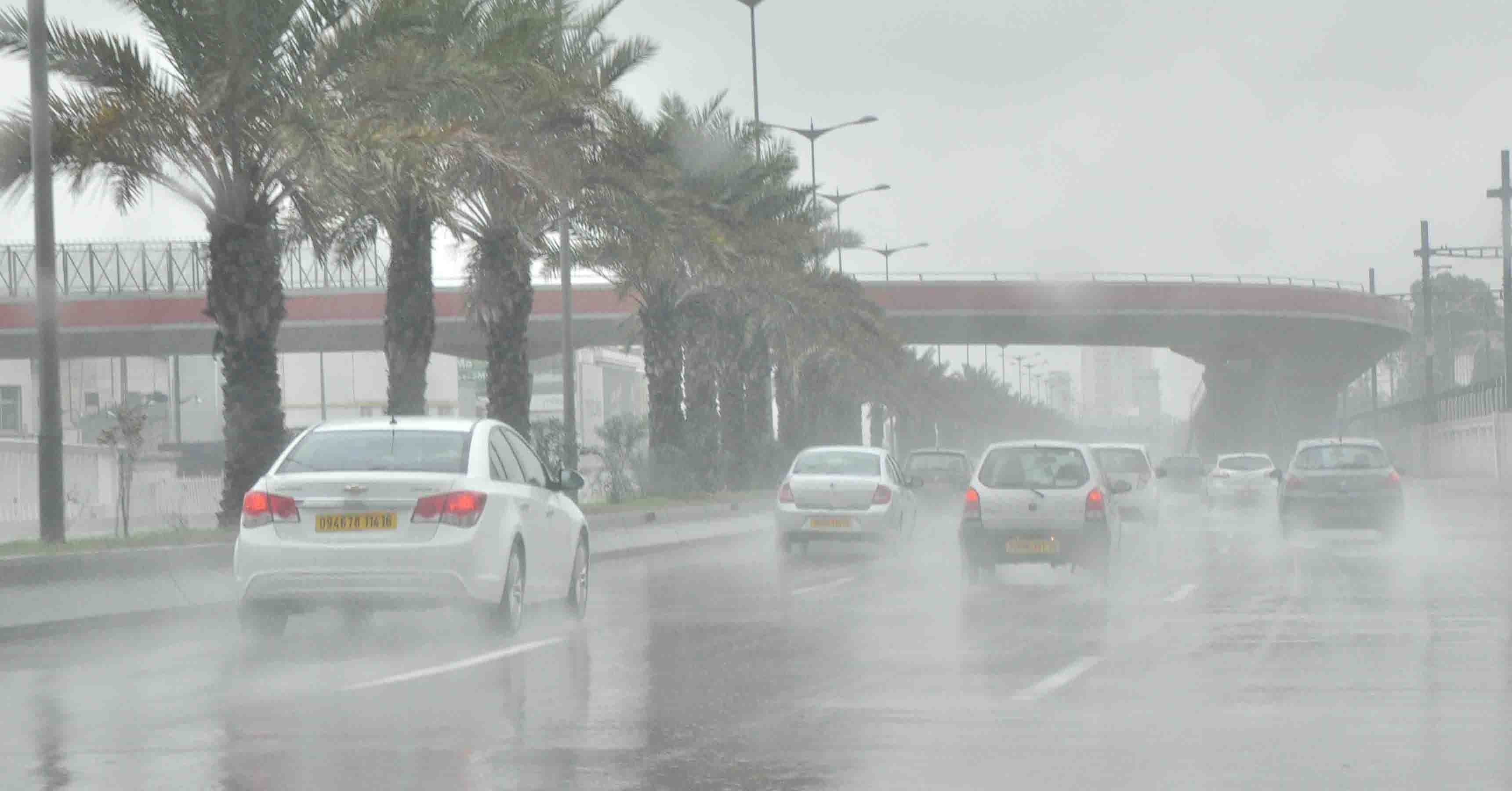 أمطار ورياح على عدة ولايات من الوطن