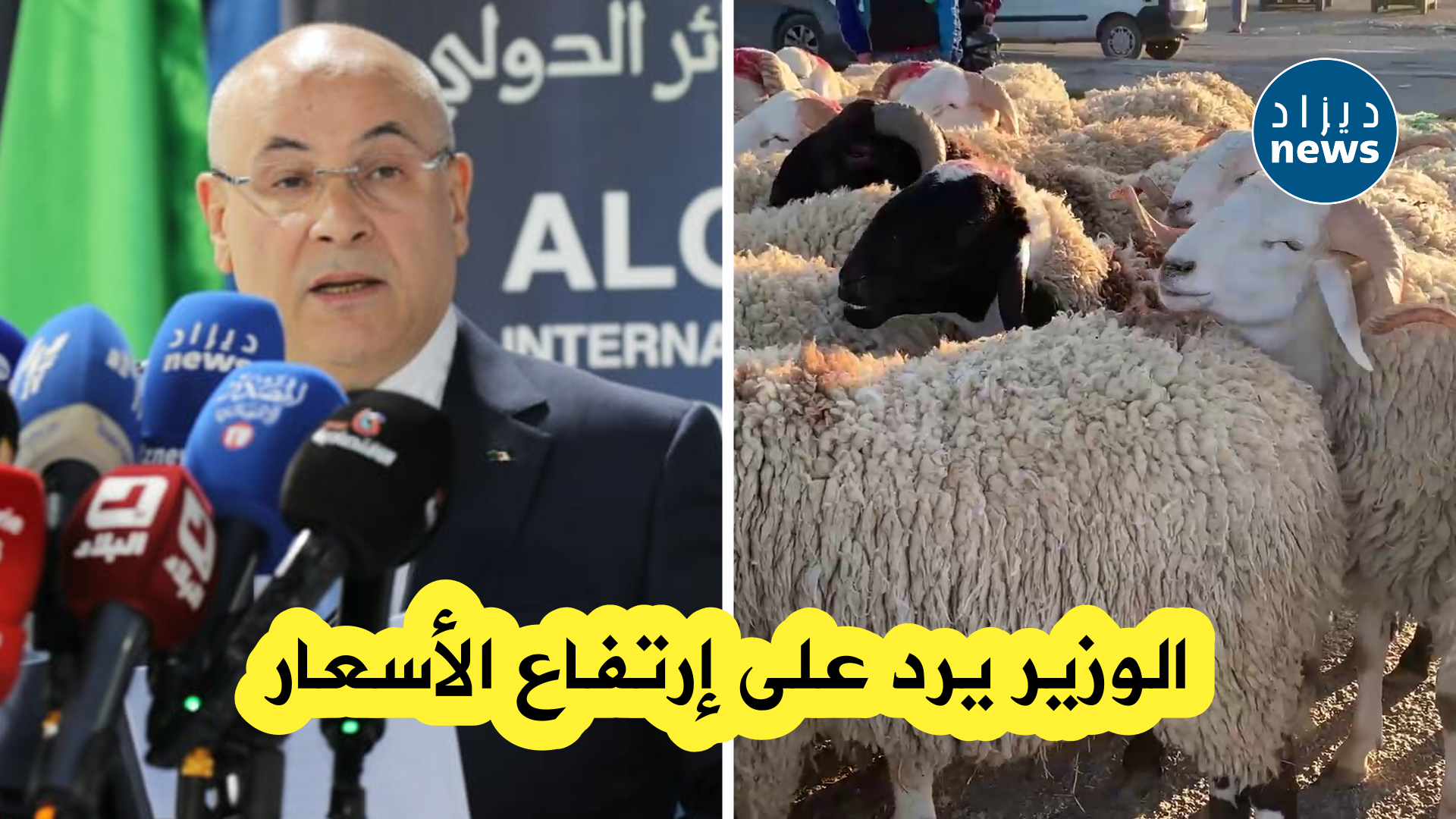 وزير التجارة يرد ويوضح بخصوص إرتفاع أسعار المواشي هذه السنة