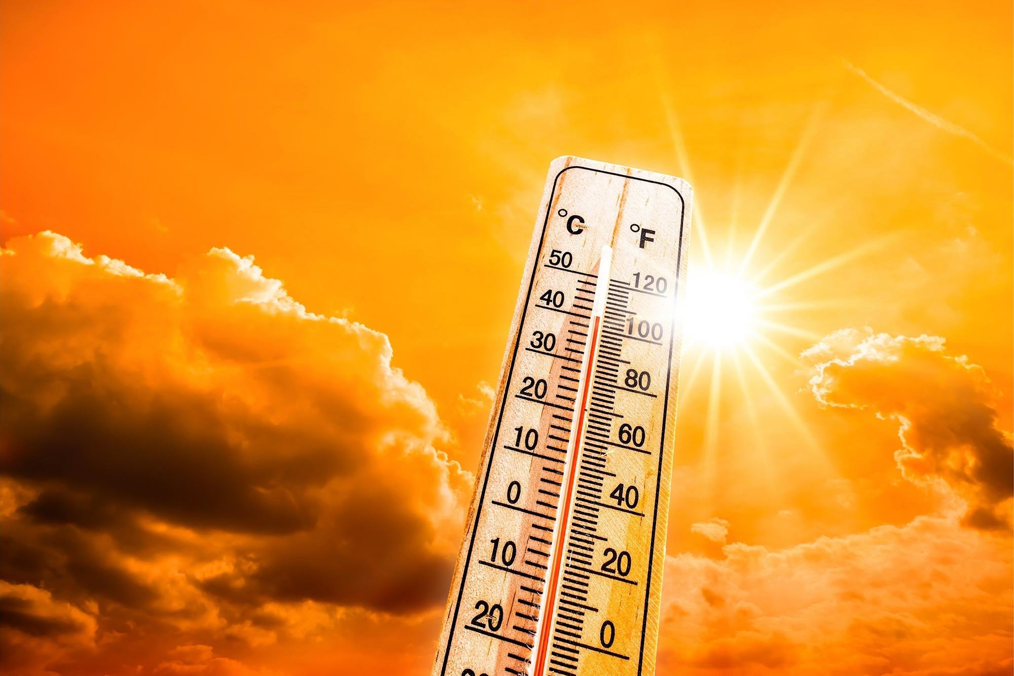 أمطار رعدية و درجات حرارة قياسية بهذه الولايات ...