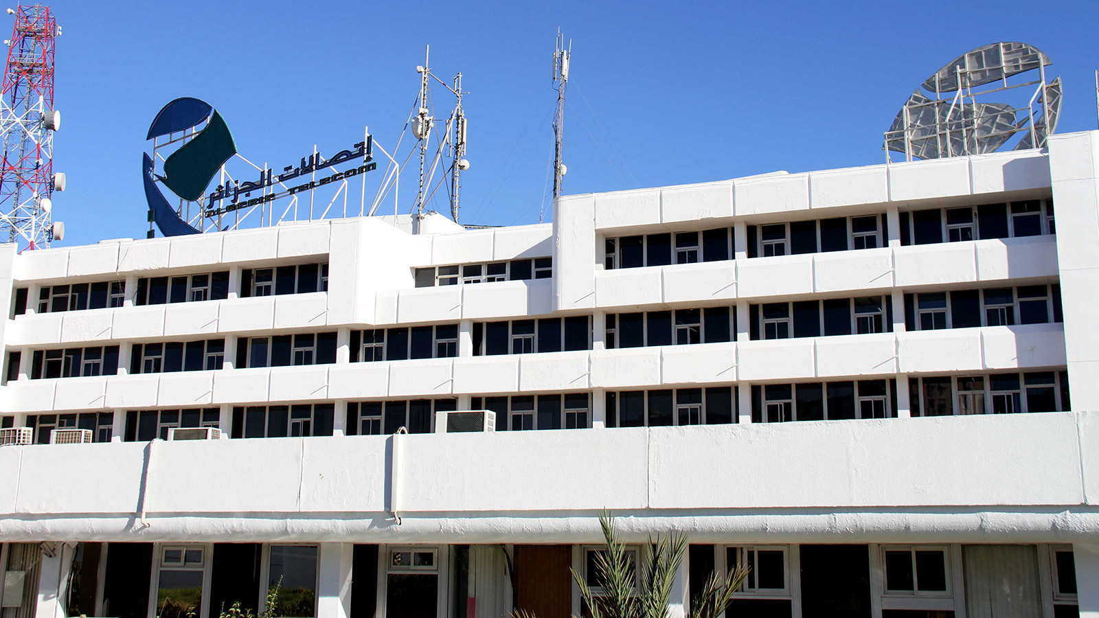 اتصالات الجزائر: تحتفل بعتبة وصولها لـ 900 ألف زبون مشترك في خدمة الألياف البصرية