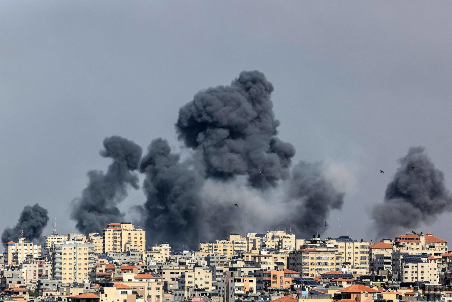 غزة: 256 شهيدا فلسطينيا خلال أقل من 24 ساعة