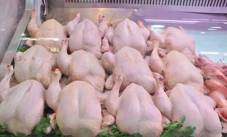 وزارة الفلاحة تعلن ترخيص استيراد اللحوم البيضاء مُؤقتا