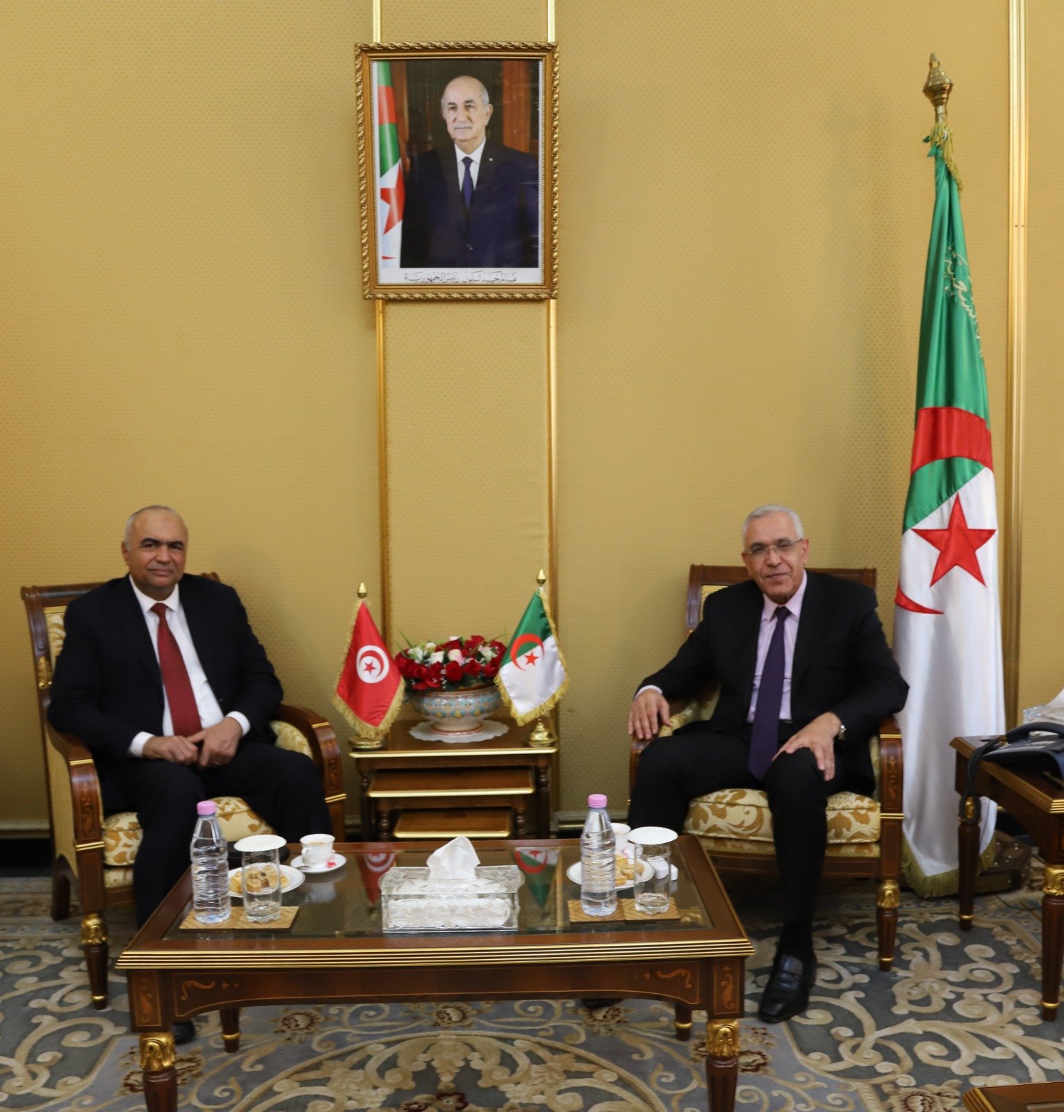 وزير العدل رشيد طبي يستقبل الرئيس الأول للمحكمة الإدارية التونسية