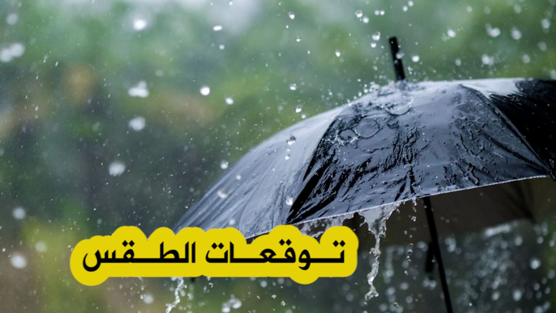 هذه هي توقعات الطقس ليوم غد الثلاثاء