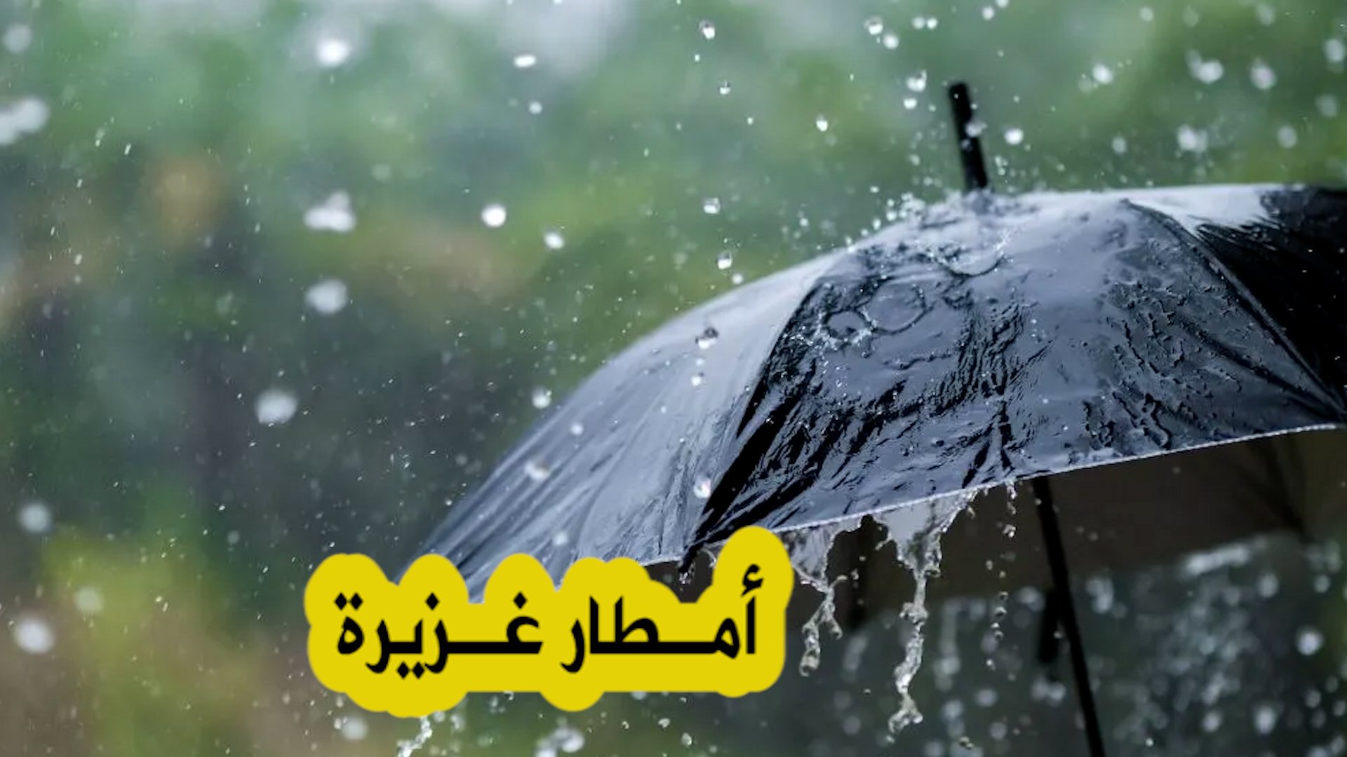 هذه هي توقعات الطقس ليوم غد الخميس